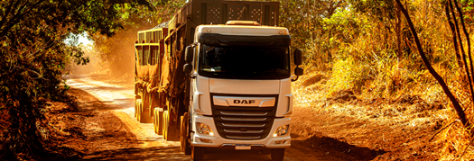 novembro-2025-XF-pelo-brasil